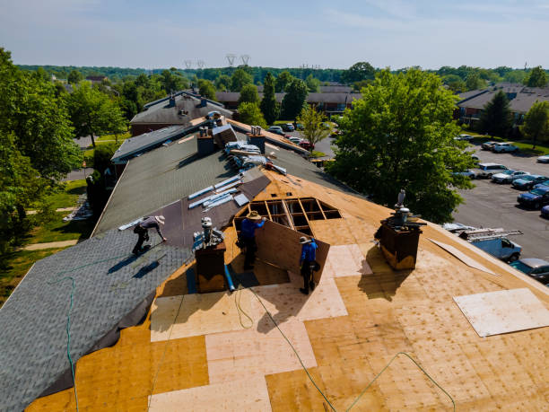 Best Metal Roofing Contractor  in Prairie Du Chien, WI