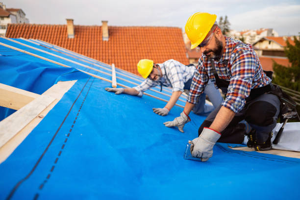 Professional Roofing Contractor in Prairie Du Chien, WI