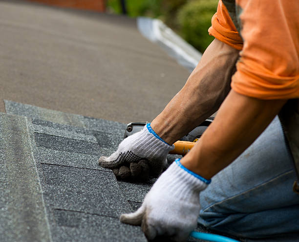 Best Tile Roofing Contractor  in Prairie Du Chien, WI