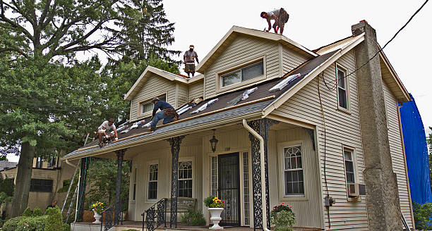 Best Roof Repair Services  in Prairie Du Chien, WI